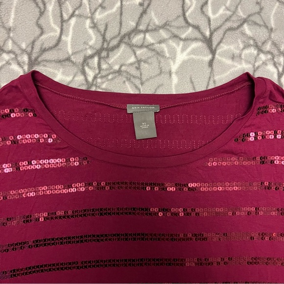 Ann Taylor Sequin Short Sleeve XL - Picture 6 of 6